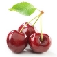 Вишня: описание, состав и полезные свойства, виды вишни